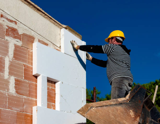 Best Eco-Friendly Insulation in Princeton, MO