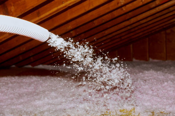 Best Commercial Insulation in Princeton, MO