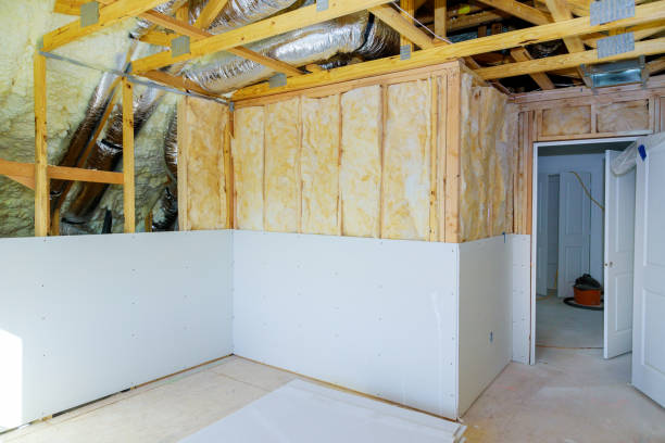 Best Spray Foam Insulation in Princeton, MO