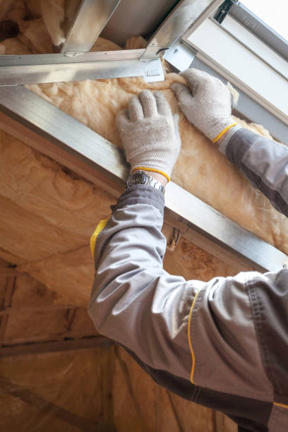Best Specialized Insulation Services in Princeton, MO