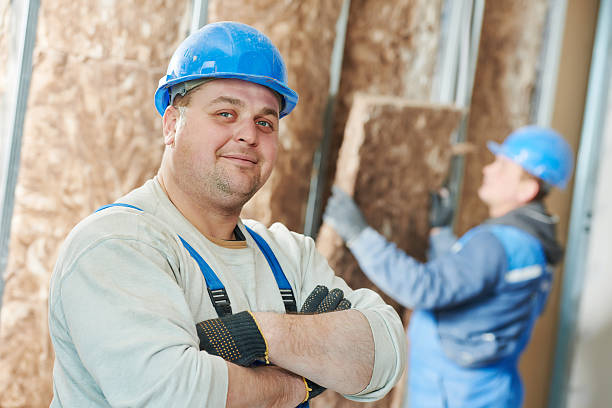Best Geographic-Specific Insulation Services in Princeton, MO