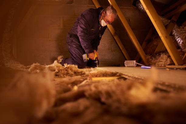 Best Energy Efficiency Insulation in Princeton, MO